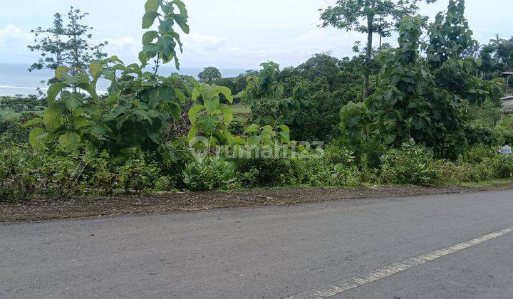 Tanah 3000m2 Praya bukit torok ocean view cocok untuk bisnis  2