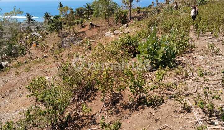 Tanah Murah Lombok 30 Are Di Pantai Torok Cocok Untuk Bisnis Anda  2
