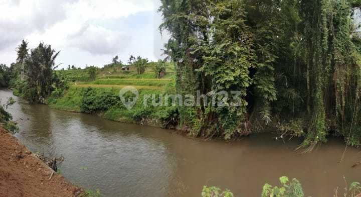 Tanah Kavling Murah Saba Gianyar Bali Cocok Untuk Bisnis Anda 