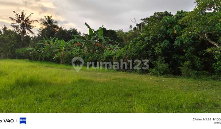 Cheap Land in Kerambitan with Certificate 900.0 m²