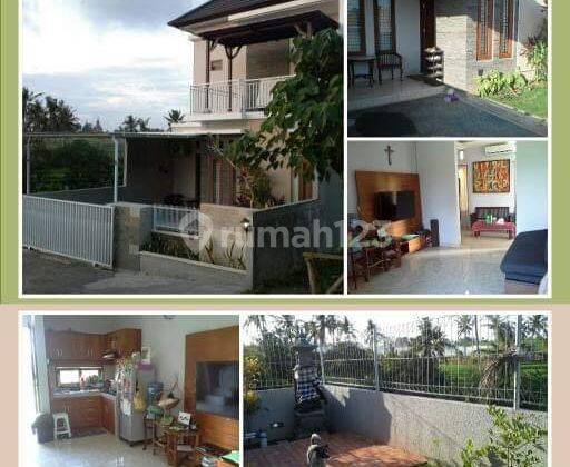 Rumah Furnished Bagus SHM - Sertifikat Hak Milik di Canggu 1