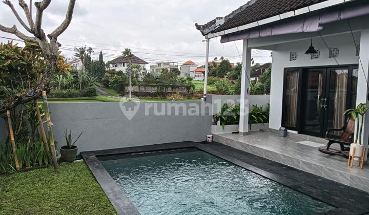 Vila Rental Yearly Di Canggu Bali Vila Rental Yearly Di Canggu Bali