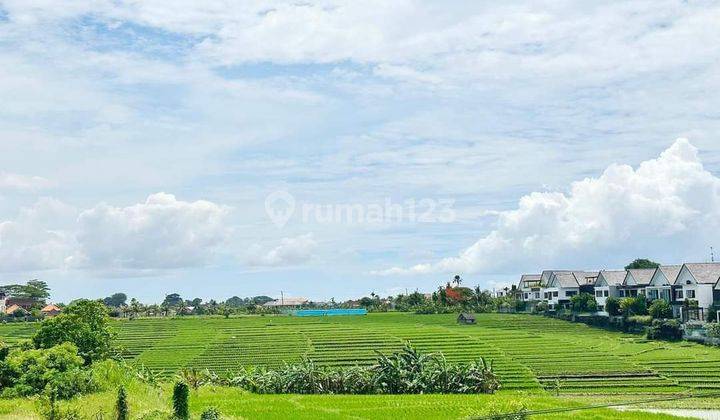  Rumah Semi Villa Ocean View Rice Field  Furnished Bagus SHM - Sertifikat Hak Milik di Cemagi 2