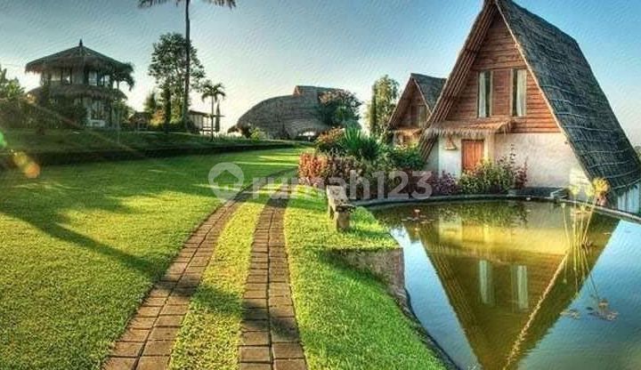 Hotel Tabanan View Ricefield And Mountain Bali Hotel Tabanan View Ricefield And Mountain Bali