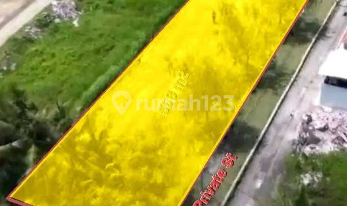 Tanah Murah Di Ubud Shm 568 m²