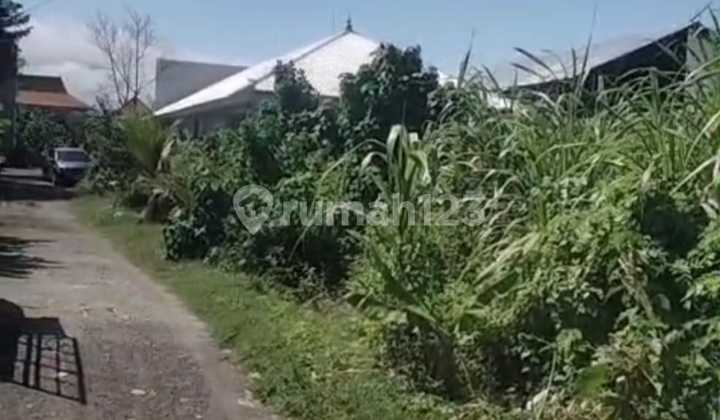 Cheap Land for Rent in Renon SHM 750 m²