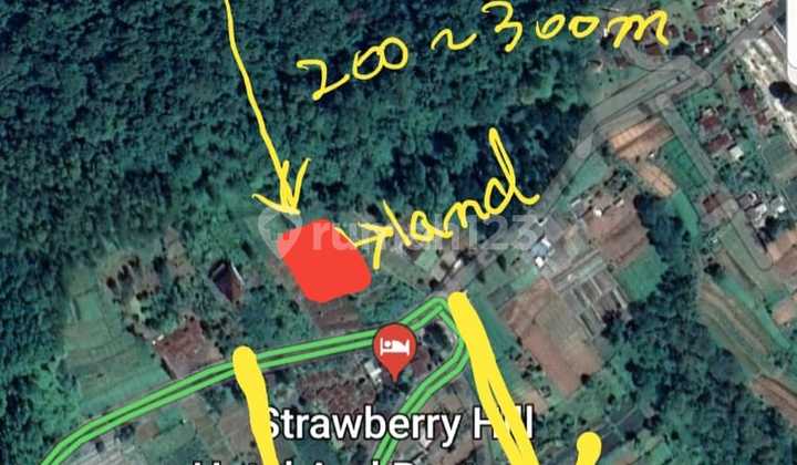 Cheap Land in Bedugul 1600 SHM M² Cheap Land in Bedugul 1600 SHM M²