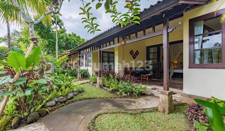 Hotel Di Ubud 2600 M² Shm Cocok Untuk Bisnis Anda  2