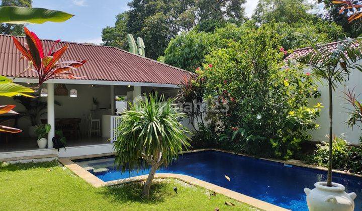 Rumah Semi Villa Gaya Modern Style Furnished Kontrakan Baru SHM - Sertifikat Hak Milik di Umalas 2