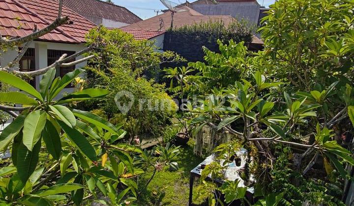 Tanah Murah di Seminyak 280 M² SHM Cocok untuk Bisnis Tanah Murah di Seminyak 280 M² SHM Cocok untuk Bisnis