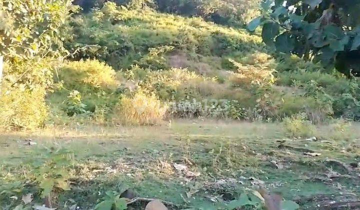 Tanah Murah Lombok 75 Are Dekat Artati Restaurant Cocok Untuk Bisnis Anda  1