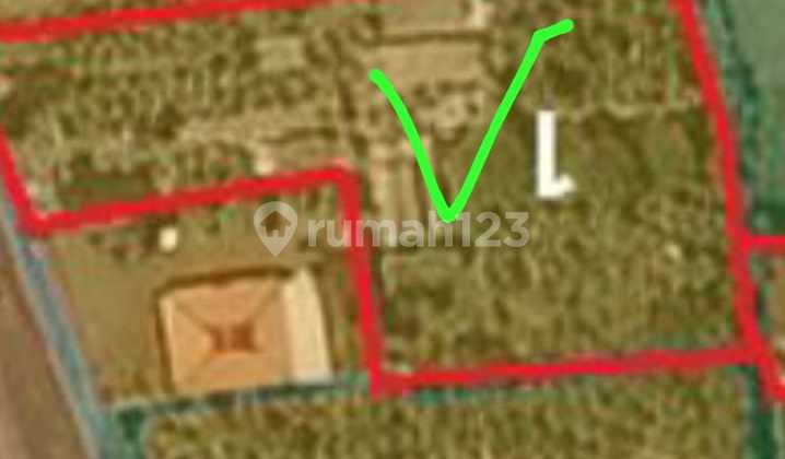 Sewa Tanah Murah Sanur 2530M2 Cocok untuk Bisnis Anda Sewa Tanah Murah Sanur 2530M2 Cocok untuk Bisnis Anda