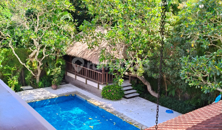 Luxury Annual Villa Rental in Sanur, Perfect for Your Business Luxury Annual Villa Rental in Sanur, Perfect for Your Business