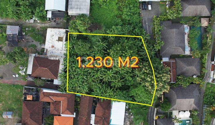 Land Near Canggu Good Price 1