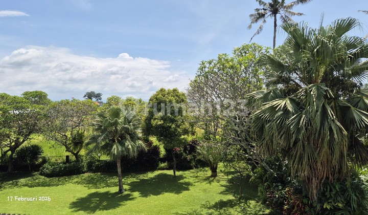 For Sale - 16.6 Are Land With House & Swimming Pool - Bona, Gianyar