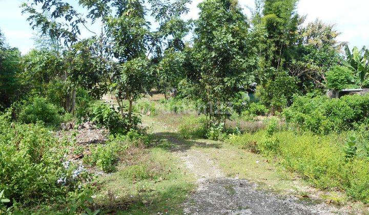 Cheap Land 2.575 M2 Near Goa Gong Hill Veranda Housing 2