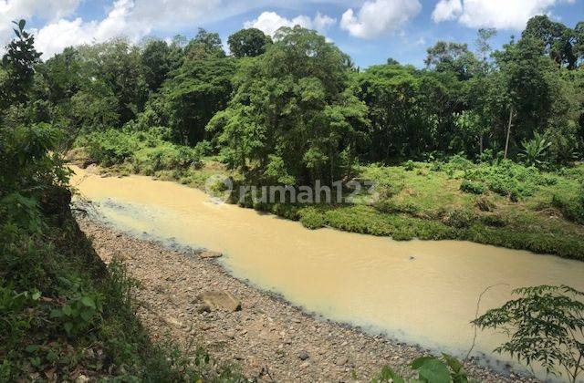 Buc Land 2,825 M2 Los Sungai in Tanguntuti, Tabanan 1