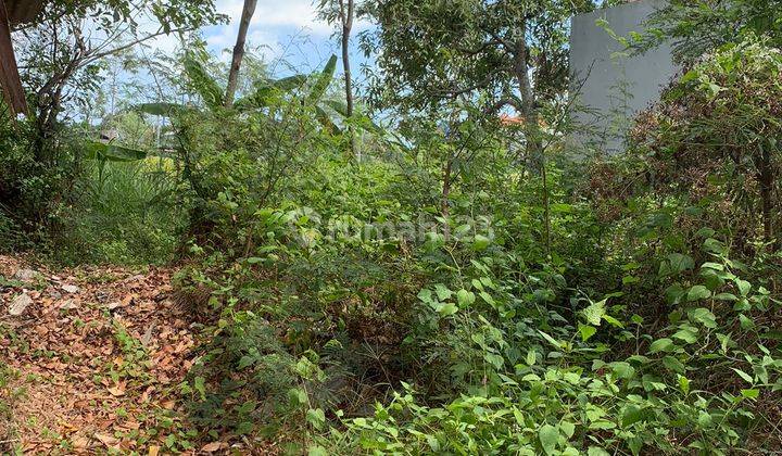 Cheap plots of land measuring 1 acre and 1.45 acres in Jimbaran residential area 2