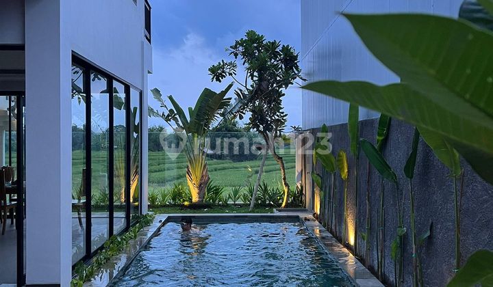 Villa 3 Bedrooms, Amazing View in Tanah Lot Villa 3 Bedrooms, Amazing View in Tanah Lot