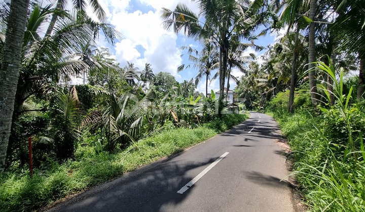 LANGKA!! Tanah KECIL 2,6 Are JALAN UTAMA KENDERAN, Tegalalang Area