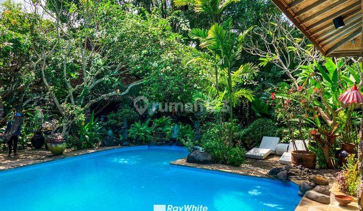 CHEAP!! WIDE ACCESS!! VILLA and GUEST HOUSE in Legian, NEAR SEMINYAK 2