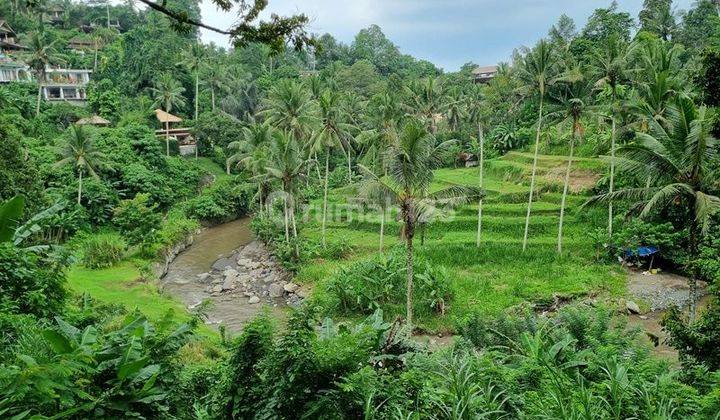 NEXT TO FOUR SEASON RESORT!! SUPER PREMIUM RIVER FRONT & JUNGLE VIEW land in Sayan UBUD 1