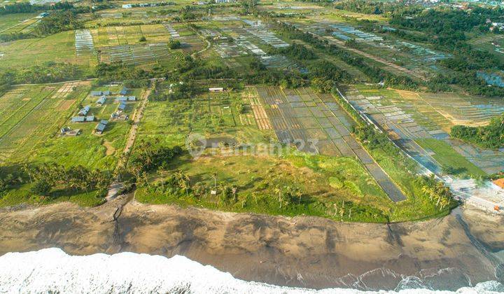 NEAR PROJECT POTATO HEAD!! BEAUTIFUL PLOT JUST 300 METERS FROM THE BEACH, AND NEAR THE LOT 1