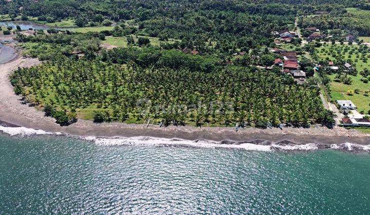 LOS PANTAI 2,57 Hektar PANTAI MELAYA, NUSASARI, JEMBRANA 1