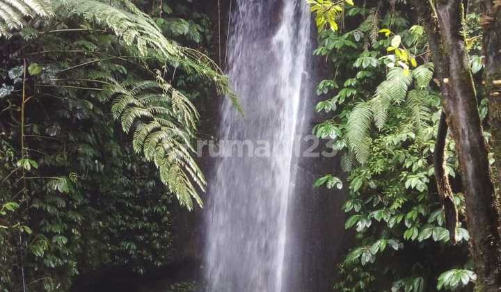 VIEW AIR TERJUN!! Tanah 1 Hektar Akses Jalan Utama Munduk, Buleleng 1