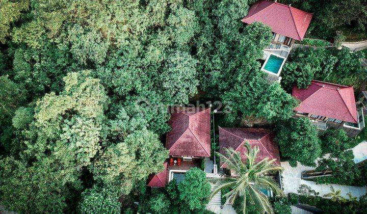 Los Tebing Hutan Dan Los Sungai, 8 Unit Villa Di Tegallalang Ubud 2