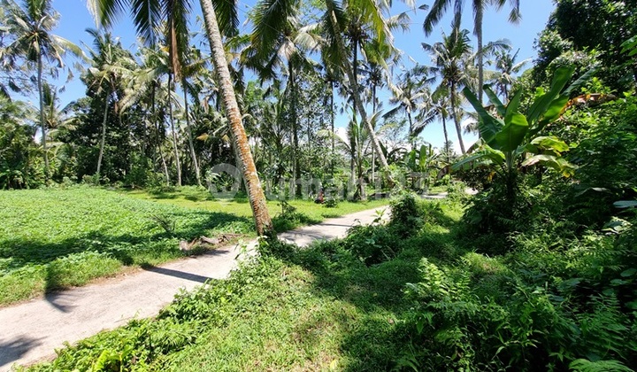 LINGKUNGAN CANTIK!! Tanah 22 Are KELIKI KELUSA, Tegallalang Area