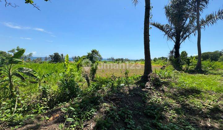 300 Mtr Ke Pantai!! 34 Are View Sawah Dkt Pantai Keramas, Gianyar 2