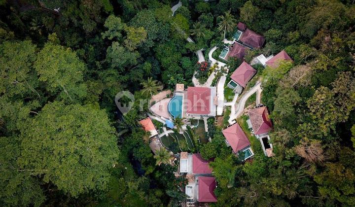 LOS TEBING DAN SUNGAI!! RESORT 8 Unit Villa Di Tegallalang Ubud LOS TEBING DAN SUNGAI!! RESORT 8 Unit Villa Di Tegallalang Ubud