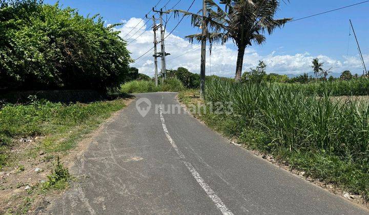 300 Mtr Ke Pantai!! 34 Are View Sawah Dkt Pantai Keramas, Gianyar 1