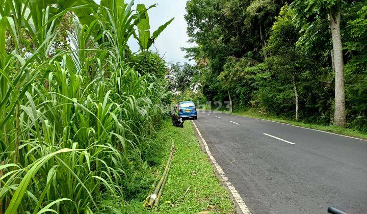 Tanah di Jalan Utama Payangan Dekat Padma Resort Ubud 1