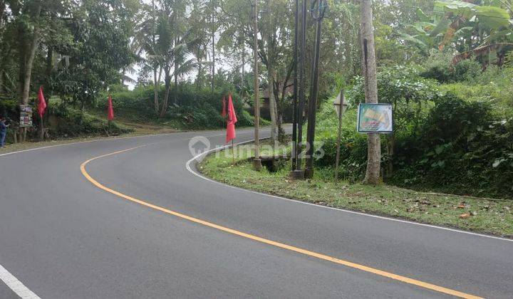 2 Kav Tanah di Dataran Tinggi di Jalan Utama Raya Pejeng 1