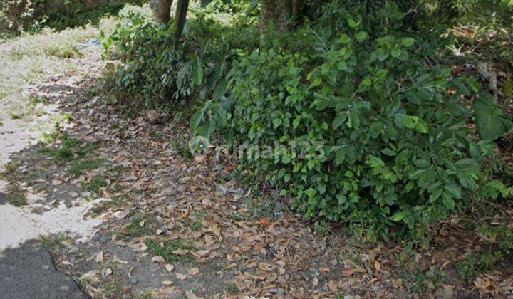 River View Leasehold Land At Kaba Kaba, Tabanan 2