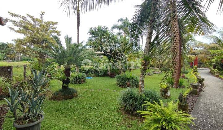 Big Garden Villa with Rice Field View in Ubud 2