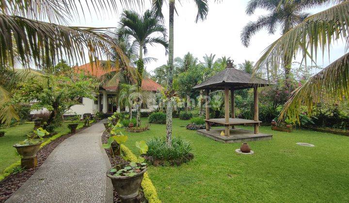 Big Garden Villa with Rice Field View in Ubud 1