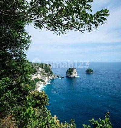 Land Los Tebing cliff at Manta Point, Nusa Penida, Klungkung 1