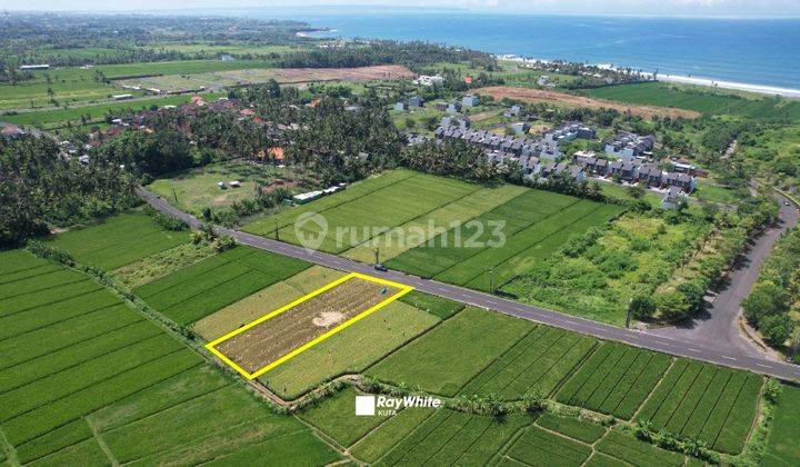 Land on Main Road Kedungu Near Bali Beach Glamping 1