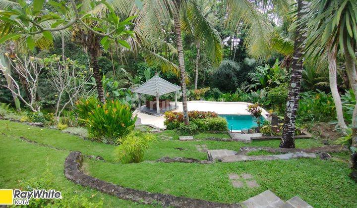  Big Garden  Villa Close to Ubud 1