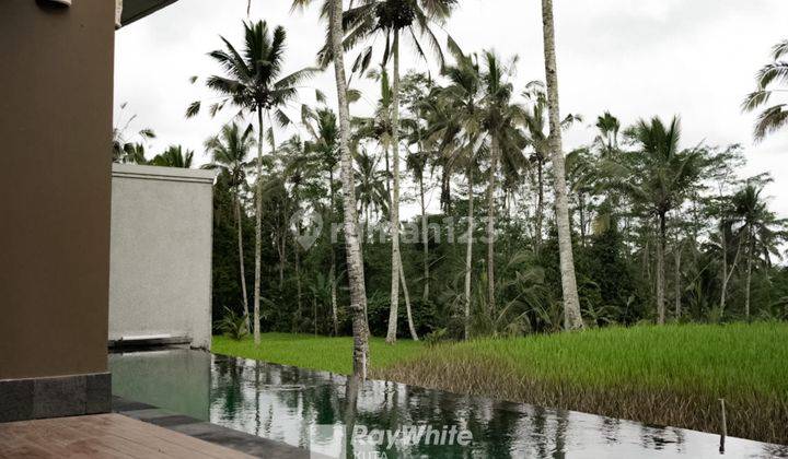 New 3BR Villa with Rice Field View in Tegalalang Gianyar. 1