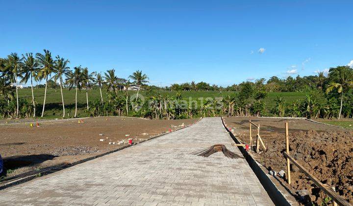 Puri Indah Cheap Lot Land in Tabanan 1