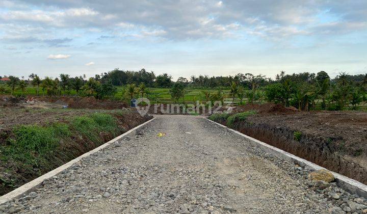 Cheap plot of land behind Ciputra Resort 1