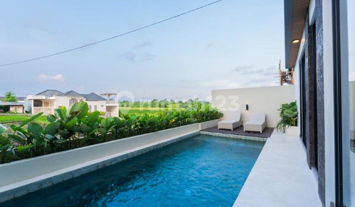Villa For Sale In Pererenan Canggu Close To Finns Beach Club
