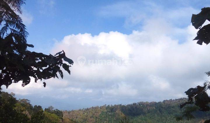 Tanah Waterfall View di Munduk, Buleleng 1