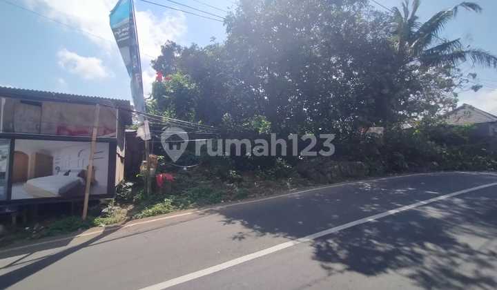 Tanah Siap Bangun di Jalan Utama Belimbing Sari Uluwatu Pecatu Tanah Siap Bangun di Jalan Utama Belimbing Sari Uluwatu Pecatu