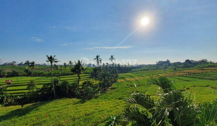 Rumah Dengan View Sawah di Daerah Pegending Dekat Canggu Area 2