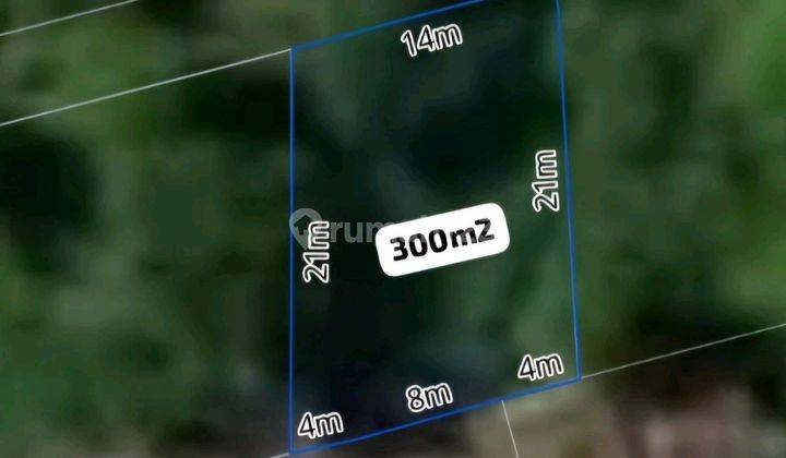 Tanah 3 Are Di Lokasi Prime Umalas Seminyak Dijual 2